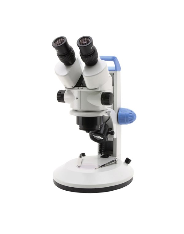 Microscopio_estereomicroscopio