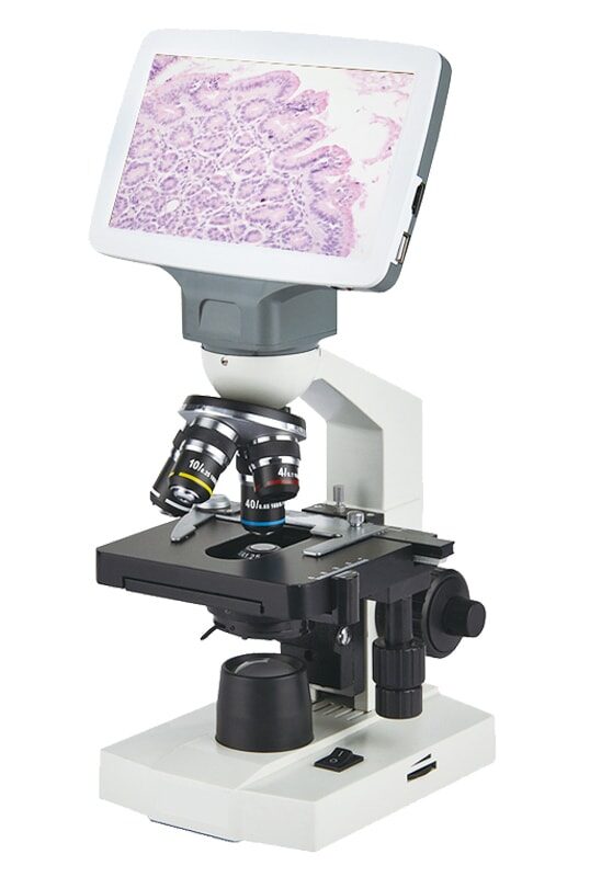 Microscopio con pantalla integrada EL10E