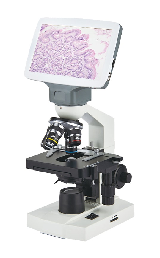 Microscopio con pantalla integrada EL10E