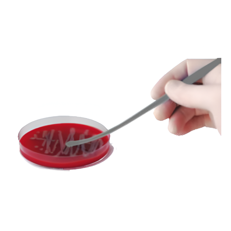 Asas bacteriológicas en alambre de ferroniquel curvas