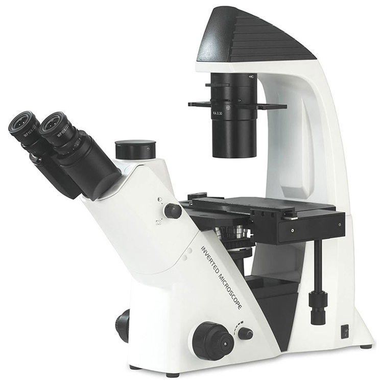 Microscopio invertido trinocular objetivos planos