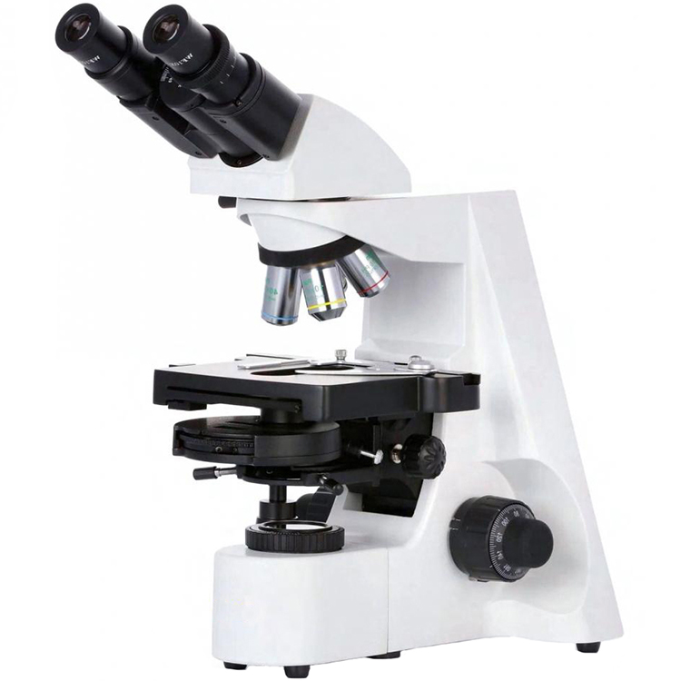 Microscopio de contraste de fases infinity