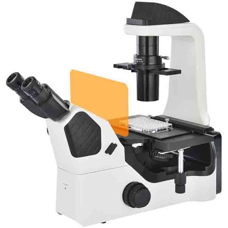 Microscopio fluorescente invertido IV6100FL – filtros B/G/UV