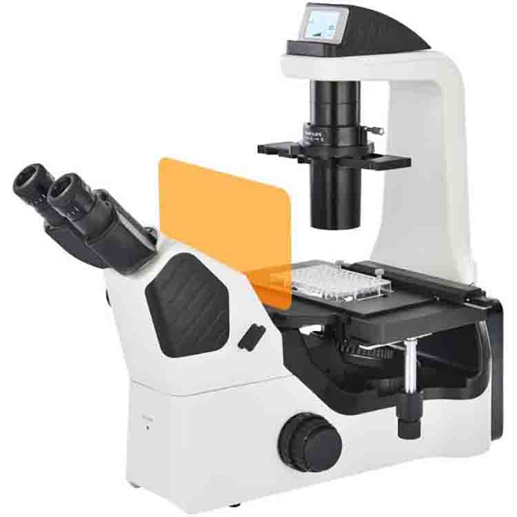 Microscopio fluorescente invertido IV6200FL – filtros B/G/UV