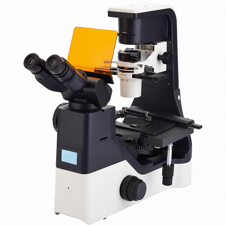 Microscopio fluorescente invertido IV6300FL – filtros B/G/UV