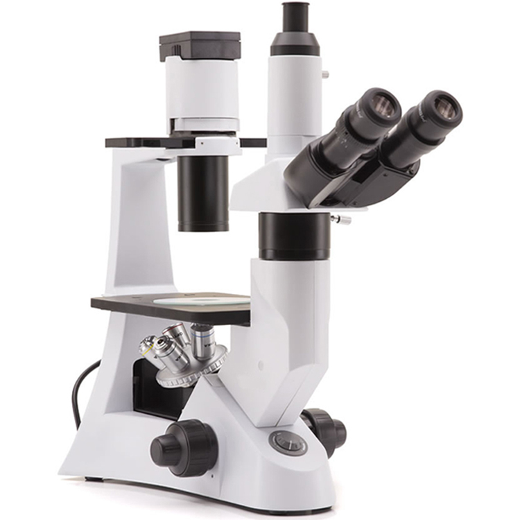 Microscopio invertido trinocular + 5 objetivos planos